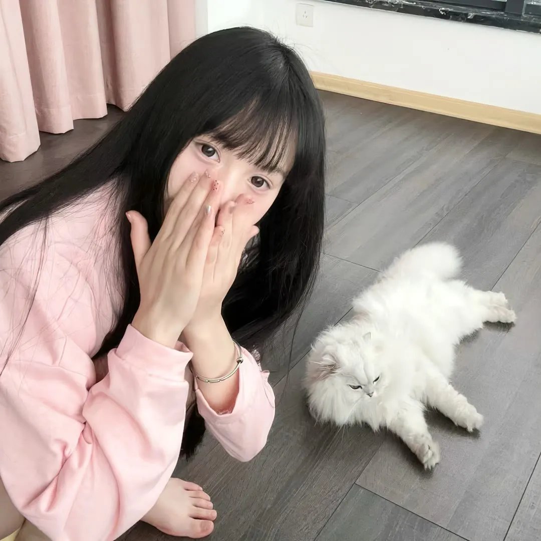 公仆2 海报